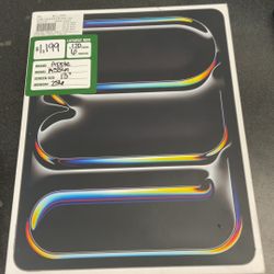 13in 256 GB iPad Pro 