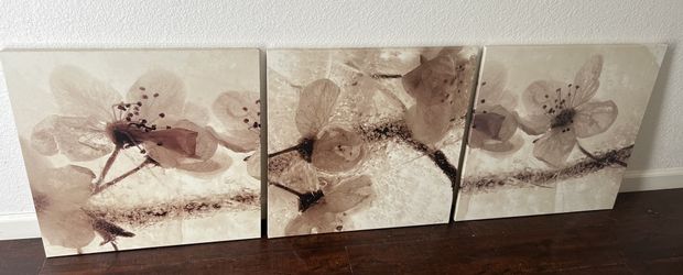 Set Of 3 IKEA Pictures 22X22