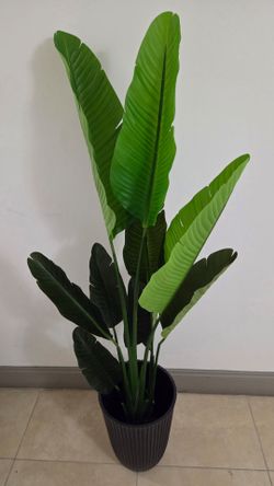 5ft Faux Bird of Paradise in 14in Ribbed Planter @ Lasting Creations