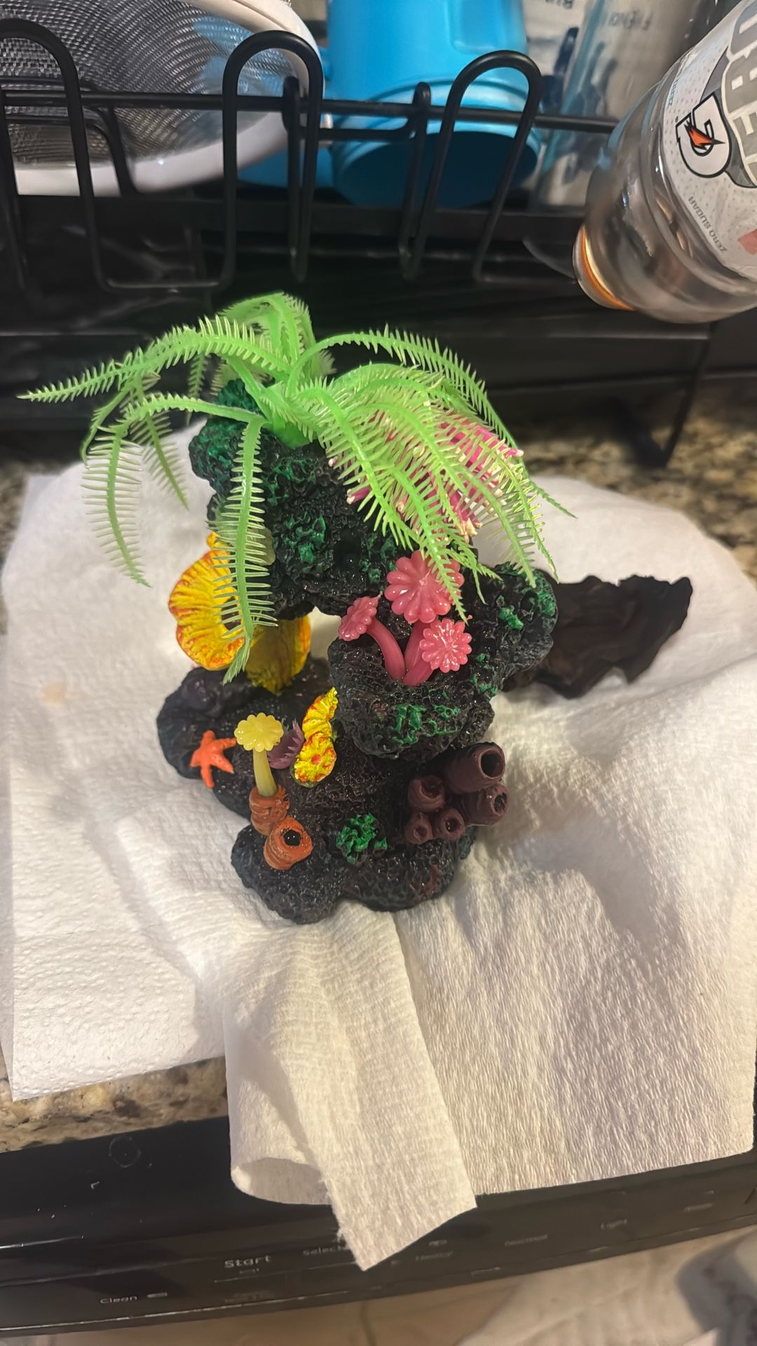 Fish Decoration