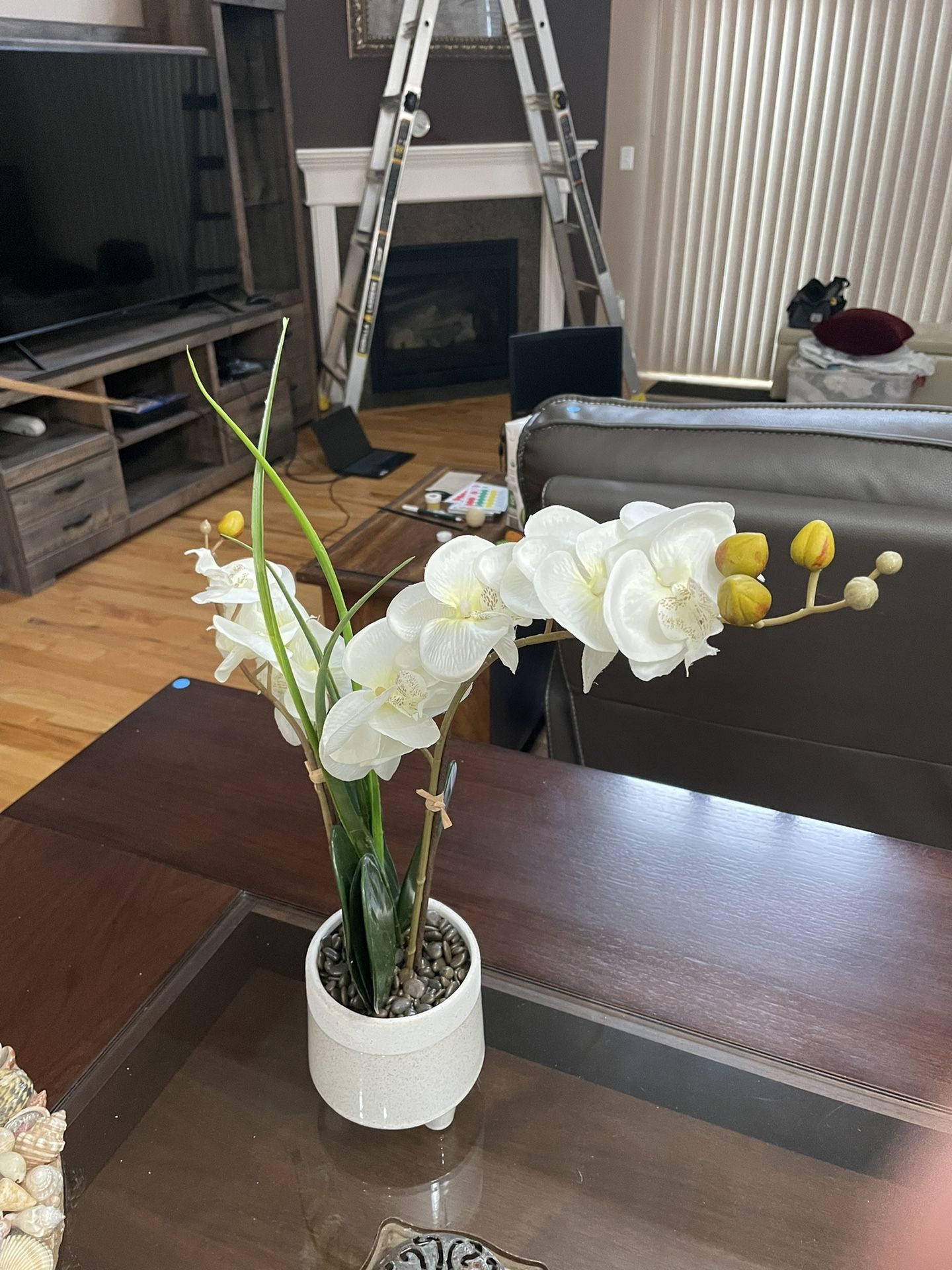 Fake Orchid Plant