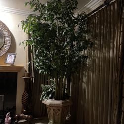 Artificial Plant And Pot Included, 10 Ft Tall