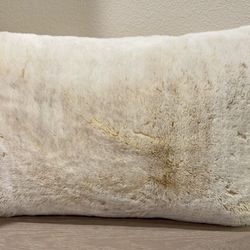 Z Gallerie Neutral Lumbar Decorative Throw Pillow Aesthetic Mid Century Modern Neutral Bedroom Pillow Natural NWOT