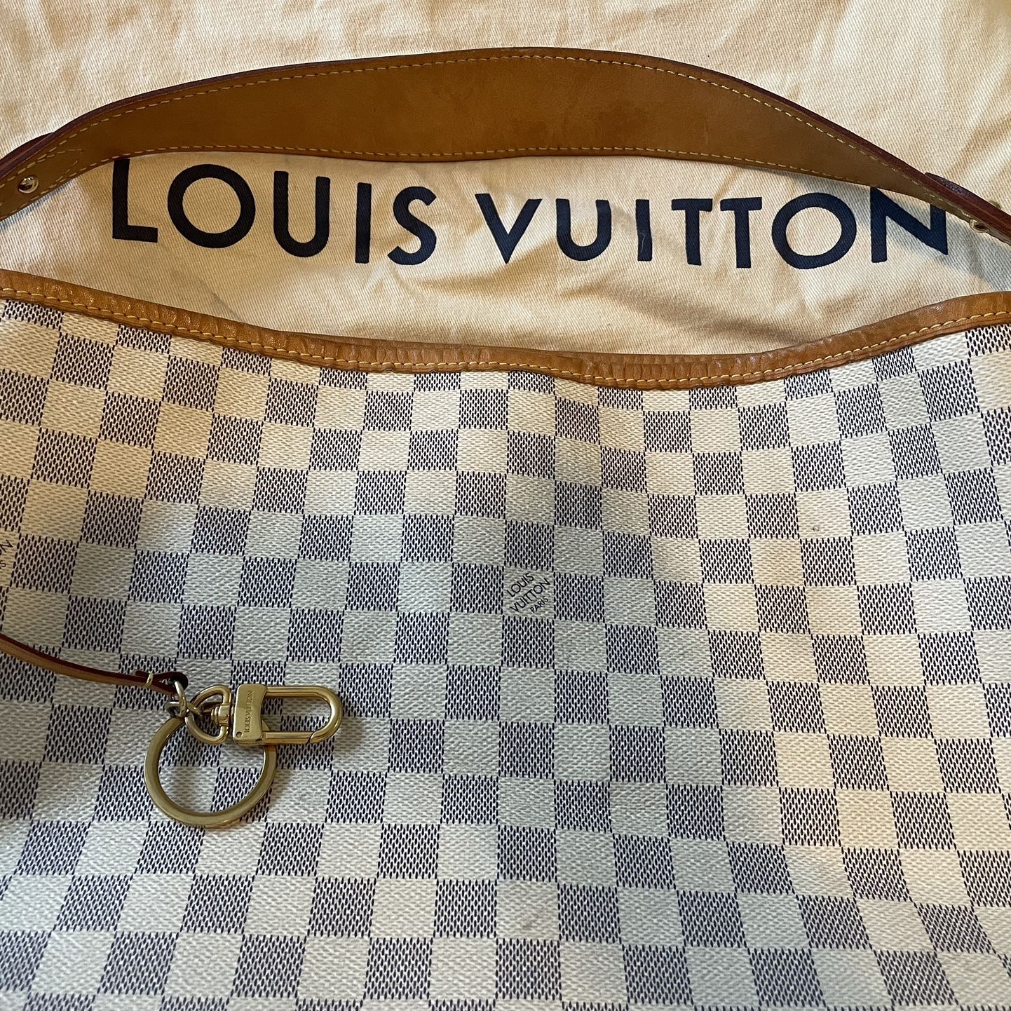 Louis Vuitton GM Delightful Hobo Bag for Sale in Fort Lauderdale, FL -  OfferUp