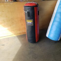 Punching Bag 