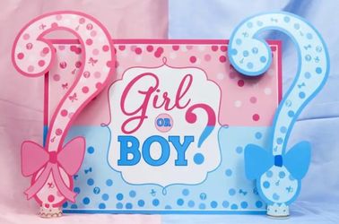 Gender Reveal Kit Of 3: Banner(1), Balloon Garland(1) And Favor Boxes (12). 
