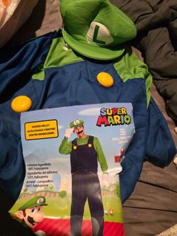 Men's luigi costume
