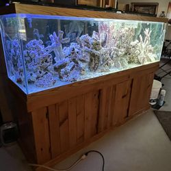 125 Gallon Fish Tank And Live Coral And Parts