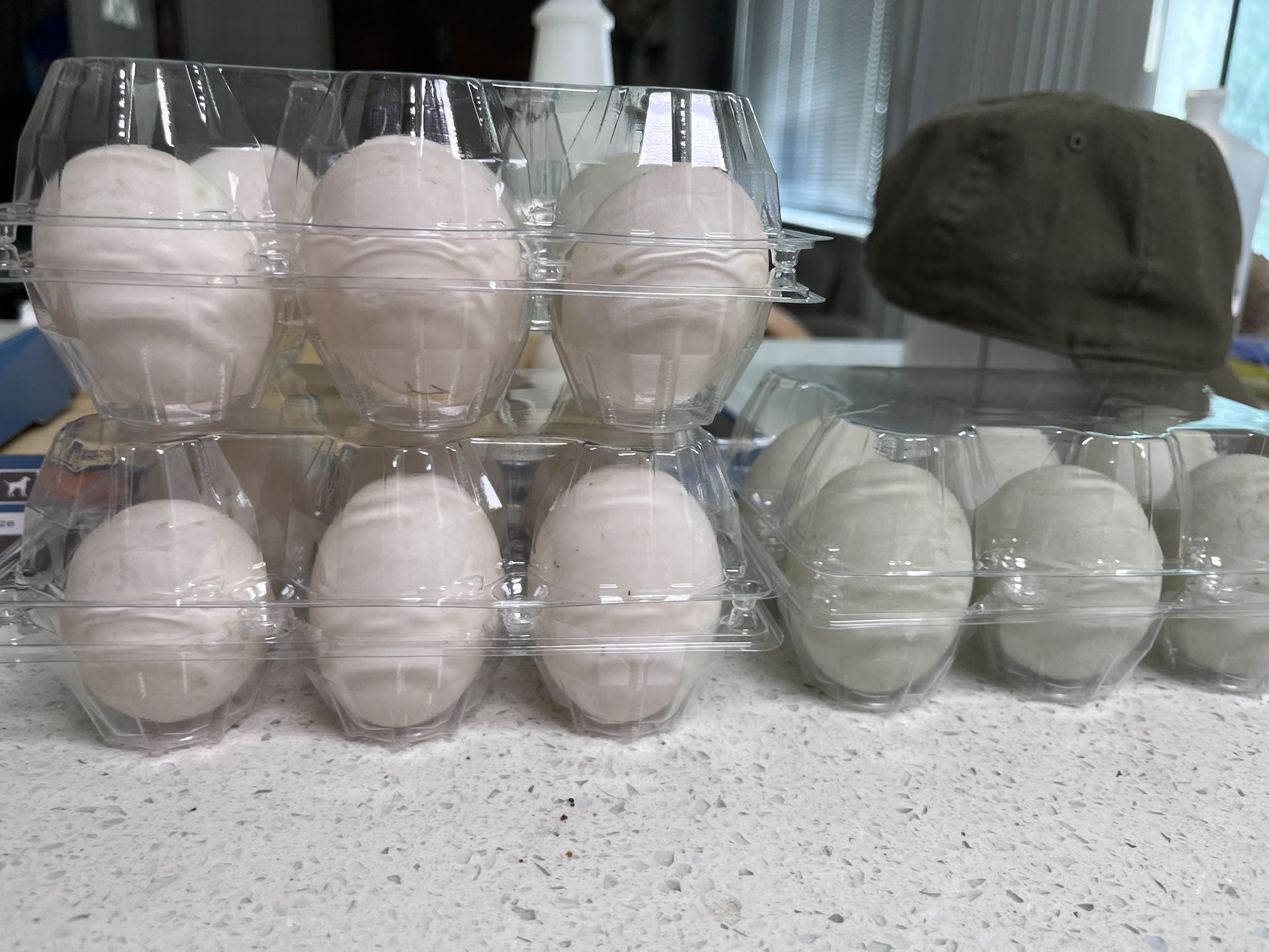 Fresh Duck Eggs 10$ Dozen