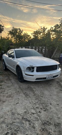 roller
