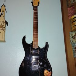 Vinci Scapigliata Custom Guitar