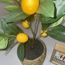 Potted artificial lemon tree, And hello sunshine home decor frame