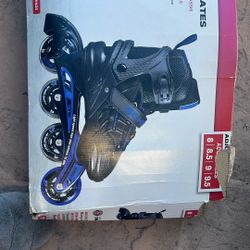 Roller Skates 