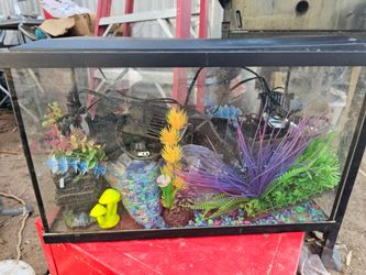 Fish tank has everything but the water and fish