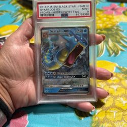 Pokémon 2019 Gyarados GX Card