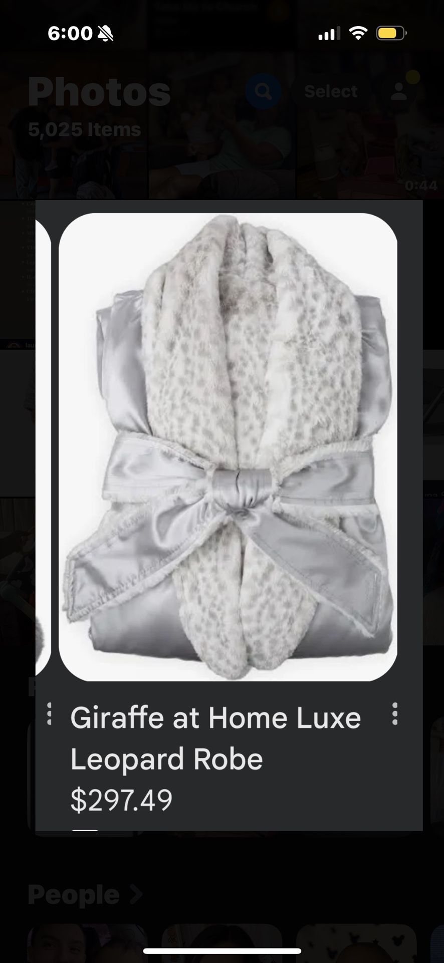 Grey Robe 
