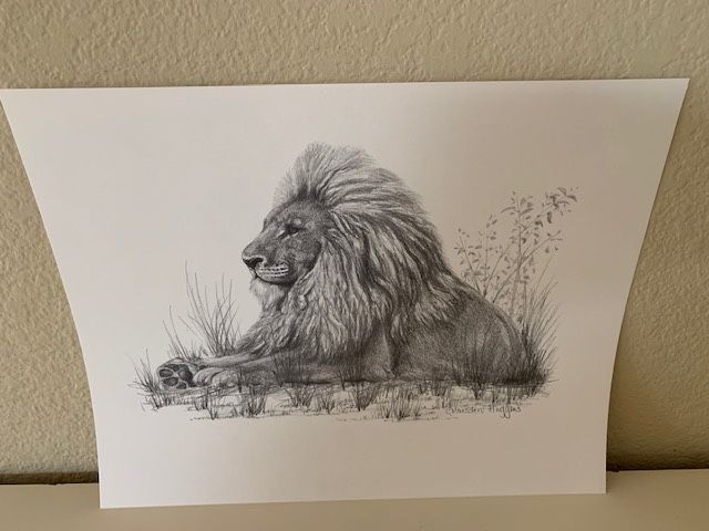 Drawings - African Animals - 10 Sold As Group