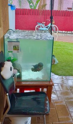 Fish Tank $300 from Petco