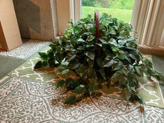 Large basket with faux greens
