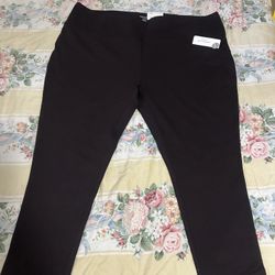 NWT Westbound Woman  leggings 