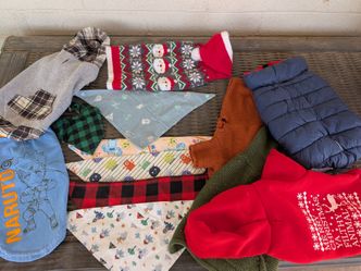 Dog clothing