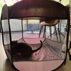 Pet Portable Pen 