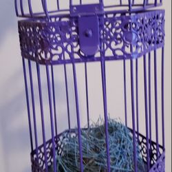Customised Heavy Metal Bird Cage Real Nest Fell During Storm Mauled Tree 2 Decades Ago Awesome Decor 