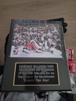2013 Stanley cup team pic