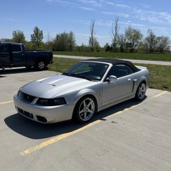 2004 Ford Mustang