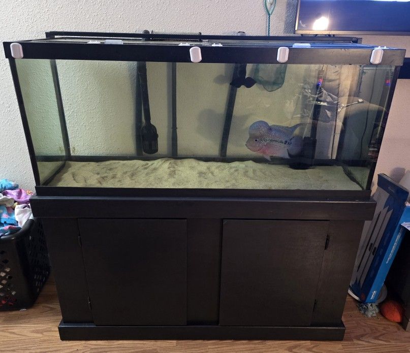 90 Gallon Fish Tank With Accessories