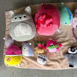 Squishmellows And Stuffies Including Vermont teddy bear