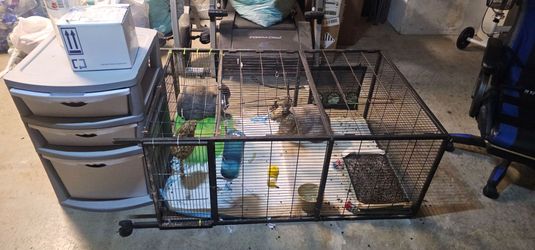 cage and cabinet plastic for sale.