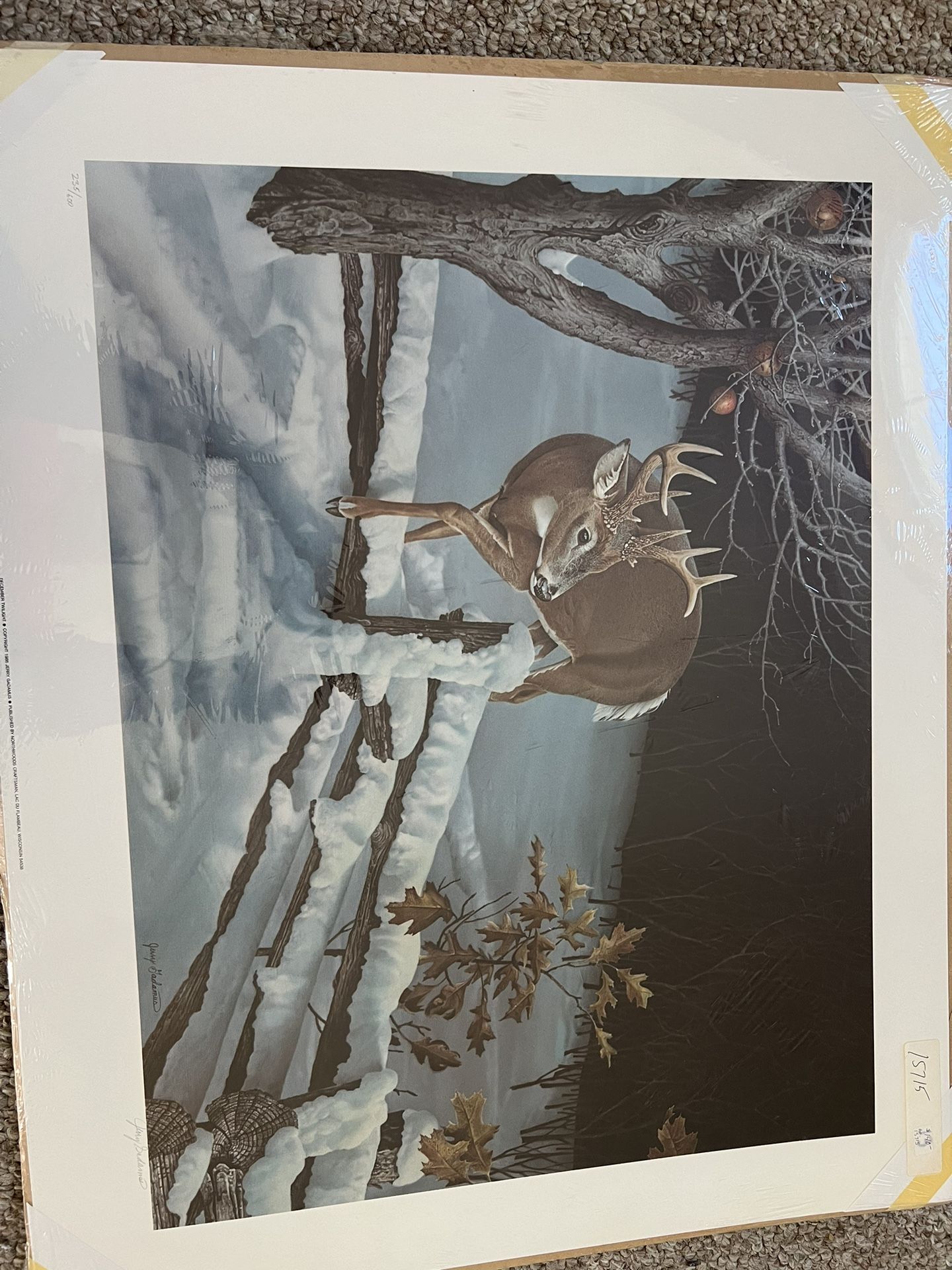 Unframed Artwork