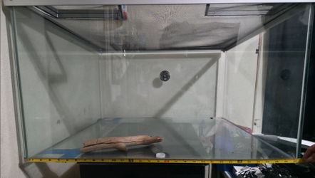 Glass Cage with Screen top