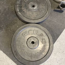 Bumper Weights