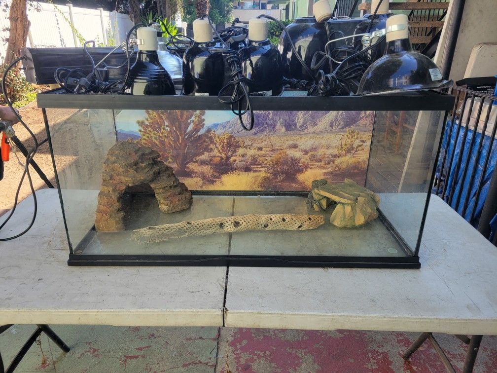 50 Gallon Terrarium With Lights, Decor