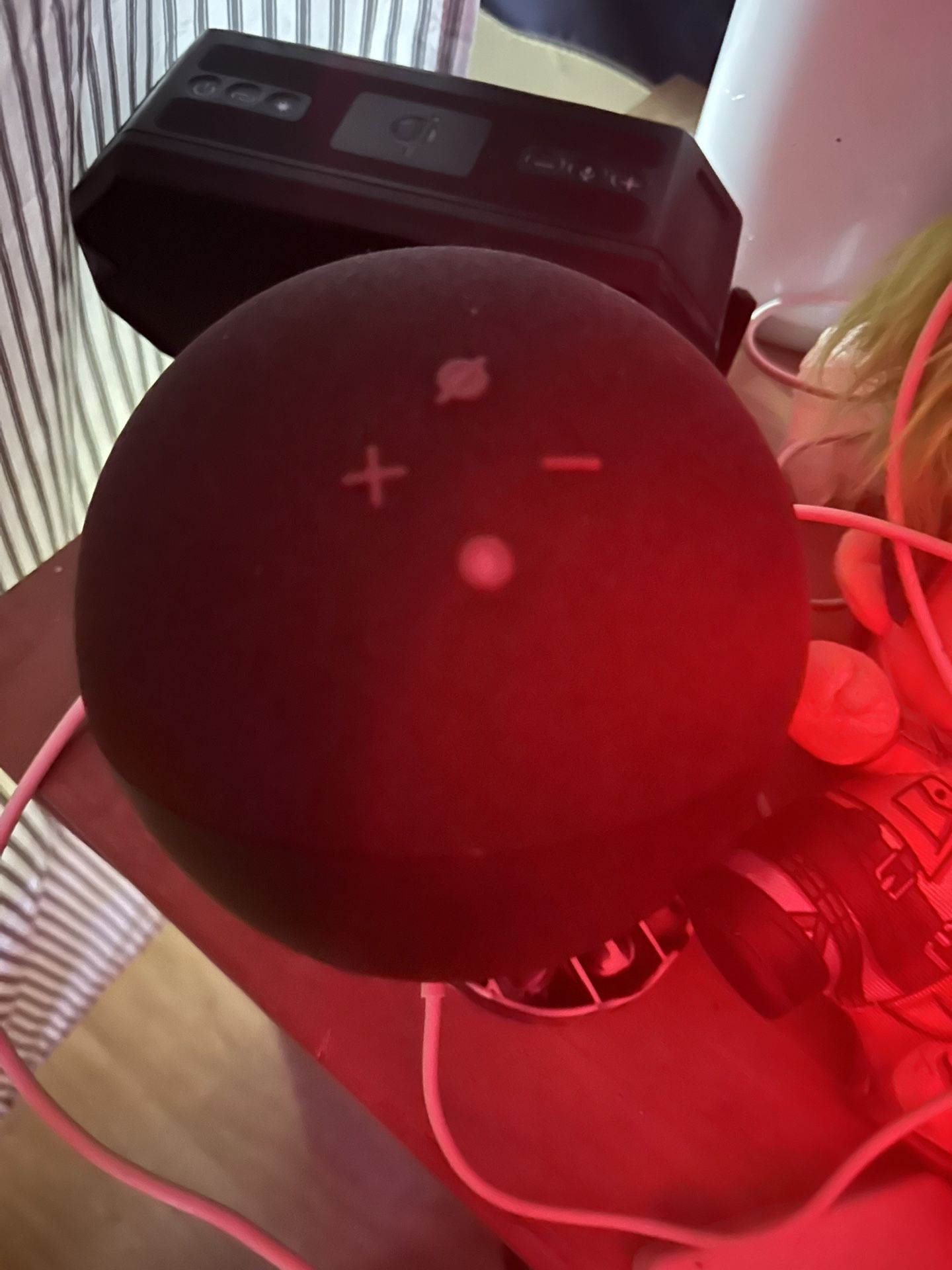 Alexa Echo