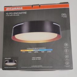 Ceiling Light
