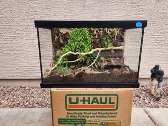 Small lizard/ insect cage