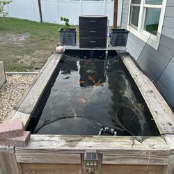 Fish Pond For Sale $700 Or Best Offer