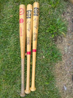 CARDINALS BATS READ DETAILS