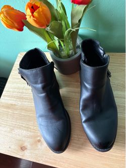 Black Ankle Boots