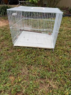 Bird cage
