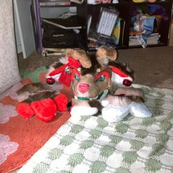 Fursuit 30-20 Offers Are Opened