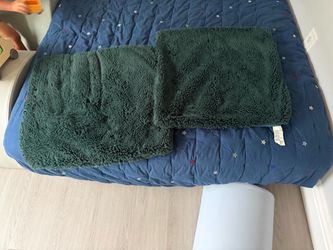 Green Crate and Barrel shams