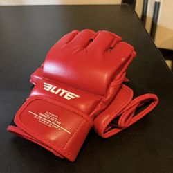 MMA boxing Gloves 