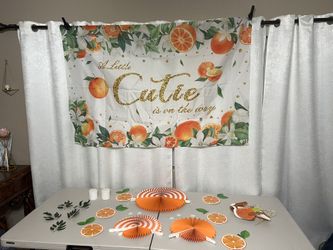 Baby Shower/ Gender Reveal Decorations 