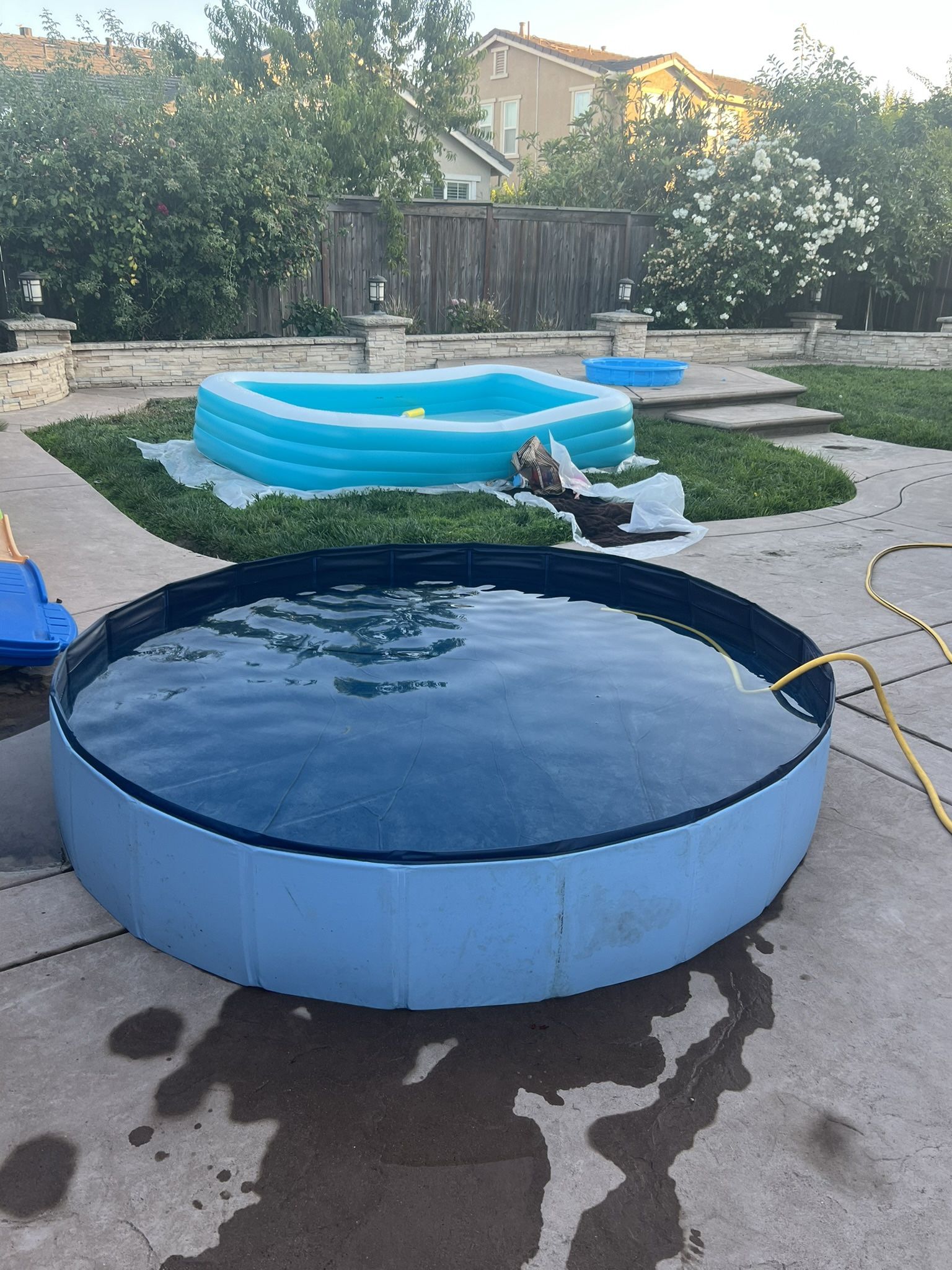 Dog Pool - XL