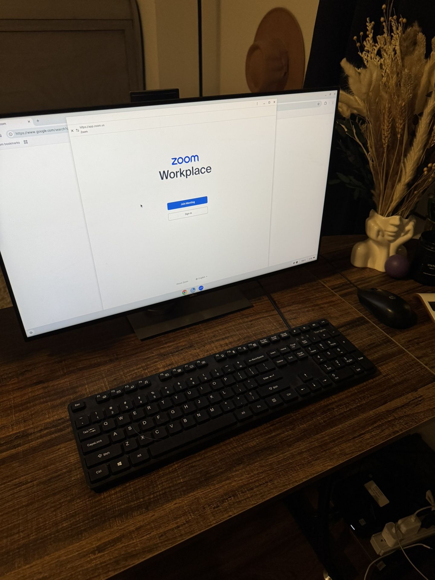 Dell 24in Brand New Monitor