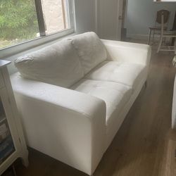 Free Couch W/ Just A Little Dandruff 